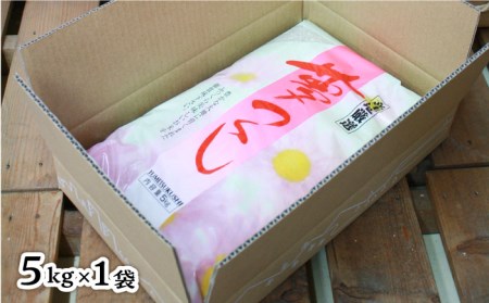 令和6年産新米 ／ 糸島産 夢つくし 5kg 糸島市 / 三島商店 米 お米 ご飯 白米 夢つくし ゆめつくし 九州 福岡 5キロ [AIM001]  白米米 白米お米 白米ご飯 白米夢つくし 白米ゆめつくし 白米九州 白米福岡 白米5キロ 白米令和6年 新米 | 福岡県糸島市 