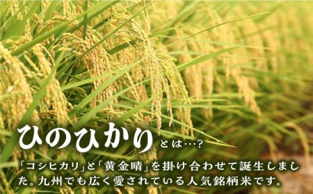 ＼ 令和5年産 ／ 糸島産 ひのひかり 5kg 糸島市 / 三島商店 米 お米 ご飯 白米 ヒノヒカリ ひのひかり 九州 福岡 [AIM003] 白米米 白米お米 白米ご飯 白米ヒノヒカリ 白米ひのひかり 白米九州 白米福岡 白米令和5年