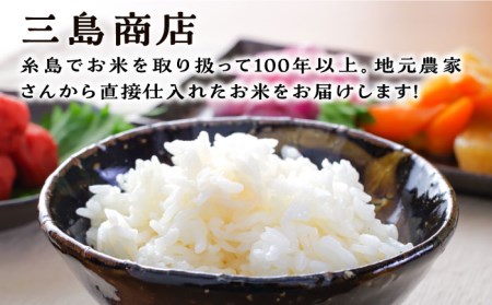 ＼ 令和6年産新米 ／ 糸島産 ひのひかり 5kg 糸島市 / 三島商店 [AIM003] 米 白米