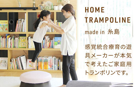 ホームトランポリン シンプルタイプ 糸島市 / 未来航路 クッション インテリア [AAB009]