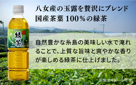 ＼1週間以内に発送／八女 玉露入り 緑茶 500ml × 24本 糸島市 / スターナイン お茶 ペットボトル[ARM004] お茶 お茶ペットボトル お茶500ml お茶24本 お茶送料無料 お茶緑茶 お茶国産 お茶まとめ買い お茶八女 お茶玉露 お茶九州 お茶福岡 お茶日本茶 お茶持ち運び 最速配送