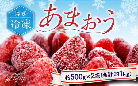 福岡県産 冷凍あまおう　約500g×2袋 合計約1kg＜株式会社H&Futures＞那珂川市 冷凍あまおう[GDS005]