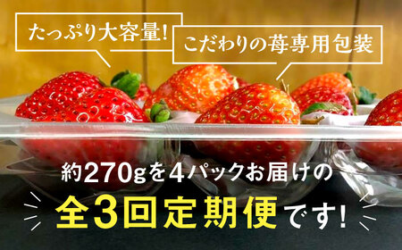 【全3回定期便】農家直送 朝どり新鮮いちご 博多あまおう 約270g×4パック＜株式会社H&Futures＞ 那珂川市 定期便 フルーツ定期便 いちご定期便 いちご フルーツ くだもの 果物 あまおう 九州産 苺 国産 39000 39000円 [GDS006]39000 39000円