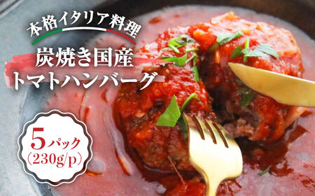 炭焼き 国産 ハンバーグ (トマトソース) 230g×5個＜PUNTO MARE＞那珂川市 ハンバーグ 洋風[GCB004]