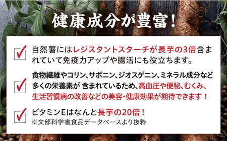 【味付け不要！本格自然薯麦とろ】自然薯 麦とろセット（4人前）＜自然薯王国＞那珂川市 自然薯 とろろ 自然薯とろろ とろろごはん 冷凍 小分け 健康 個包装 [GAH002]16000 16000円