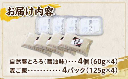 【味付け不要！本格自然薯麦とろ】自然薯 麦とろセット（4人前）＜自然薯王国＞那珂川市 自然薯 とろろ 自然薯とろろ とろろごはん 冷凍 小分け 健康 個包装 [GAH002]16000 16000円