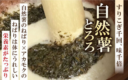 【磯の風味が香るふわふわとろろ】那珂川産自然薯使用　博多自然薯 アカモクとろろ 60g×6個＜自然薯王国＞那珂川市 自然薯[GAH005]