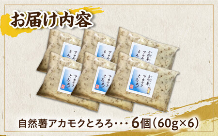 【磯の風味が香るふわふわとろろ】那珂川産自然薯使用　博多自然薯 アカモクとろろ 60g×6個＜自然薯王国＞那珂川市 自然薯[GAH005]
