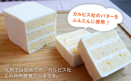 焼き菓子 セット ＜株式会社シークス＞那珂川市 焼き菓子 洋菓子 バターケーキ セット [GAU001]