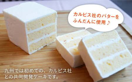 【大人気バターケーキがセットに！】VISAVIS 焼き菓子 セット （バターケーキ+焼き菓子3種）＜株式会社シークス＞那珂川市 定期便 バターケーキ お菓子 スイーツ 20000 20000円 [GAU003]