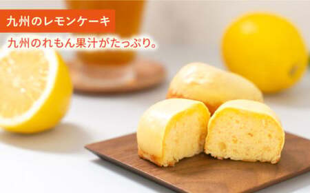 【大人気バターケーキがセットに！】VISAVIS 焼き菓子 セット （バターケーキ+焼き菓子3種）＜株式会社シークス＞那珂川市 定期便 バターケーキ お菓子 スイーツ 20000 20000円 [GAU003]