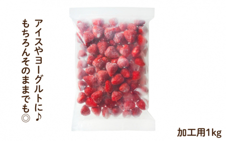 【凍っても濃厚！】冷凍いちご 博多あまおう 1kg（加工用）＜やまや＞那珂川市 あまおうジェラート[GAK019]