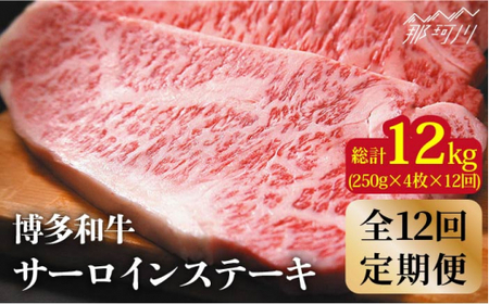 【全12回定期便】博多和牛 牛肉 サーロイン ステーキ 1kg（250g×4枚）＜株式会社MEAT PLUS＞那珂川市 サーロインステーキ肉[GBW039]
