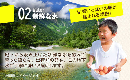 【ふるなびWEEK対象】卵 60個  平飼い たまご 卵 福岡 玉子 GAM004