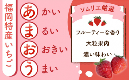 【全3回定期便】福岡産 濃厚 あまおう ジェラート 1000ml＜南国フルーツ株式会社＞ 那珂川市 定期便 いちご フルーツ くだもの 果物 あまおう 九州産 苺 国産 アイス   [GCD054]37000 37000円