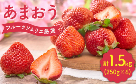 【2月上旬より発送】先行予約！福岡産 いちご 【春】あまおう 6パック＜南国フルーツ株式会社＞ 那珂川市 いちご[GCD010]