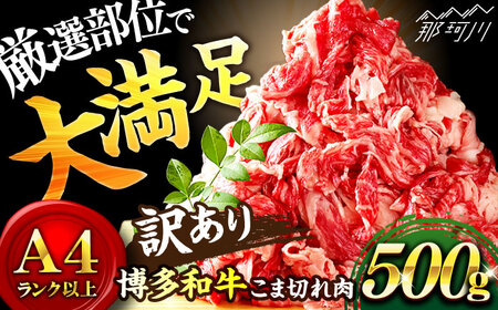 切り落とし 500g ＜株式会社MEAT PLUS＞那珂川市 切り落とし[GBW008]