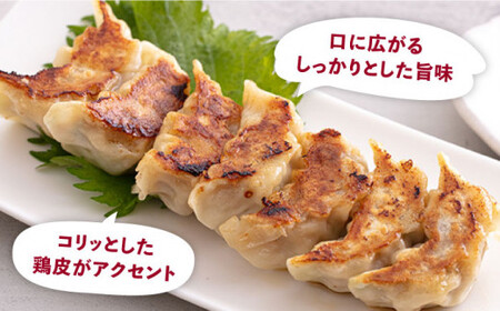 【平飼いで育った元気な鶏！】金太郎鶏 ぎょうざ（25個×5袋セット）＜有限会社 フジノ香花園＞那珂川市 冷凍餃子[GAM005]