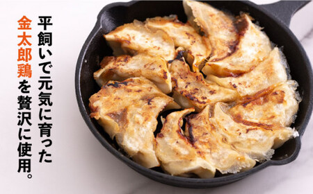 【平飼いで育った元気な鶏！】金太郎鶏 ぎょうざ（25個×5袋セット）＜有限会社 フジノ香花園＞那珂川市 冷凍餃子[GAM005]