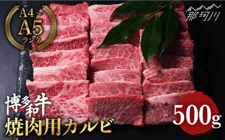博多和牛 牛肉 焼き肉 バラ（カルビ）500g ＜肉のくまもと屋＞那珂川市 カルビ[GBI012]