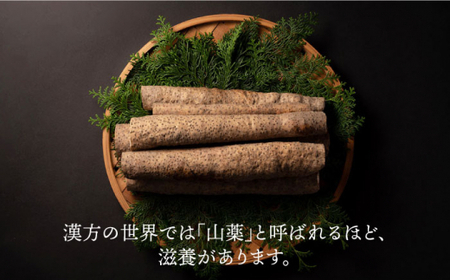 【選び抜いた「粘り」と「香り」】先行予約！ 自然薯 「九千部朱薯」600g~650g（2本）＜株式会社九千部＞那珂川市 自然薯[GAZ001]
