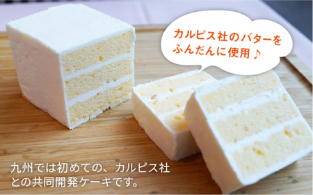 【全12回定期便】VISAVIS菓子3種セット 計7点＜株式会社シークス＞那珂川市 バターケーキ 石畳 チョコケーキ[GAU006]