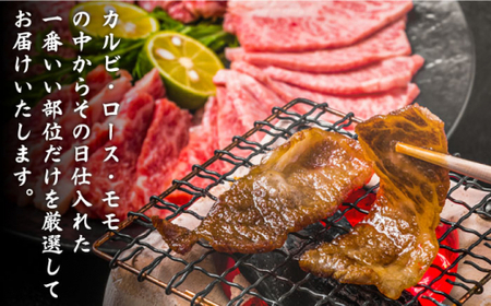 【全3回定期便】博多和牛 贅沢定期便 ＜株式会社MEAT PLUS＞那珂川市 定期便[GBW103]43000 43000円