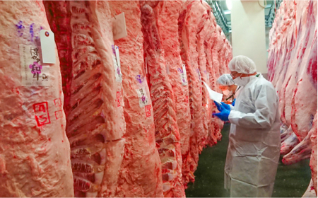 【全10回定期便】博多和牛 厚切り ヒレ ステーキ 200g×5枚＜久田精肉店＞那珂川市 ヒレ[GDE036]