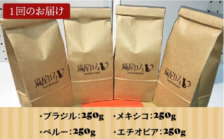 【全12回定期便】魅惑のスペシャルティ コーヒー 4種セット【粉】1kg＜自家焙煎珈琲 猫屋カフェ＞那珂川市 コーヒー[GAG018] 