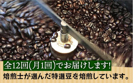【全12回定期便】魅惑のスペシャルティ コーヒー 4種セット【粉】1kg＜自家焙煎珈琲 猫屋カフェ＞那珂川市 コーヒー[GAG018] 