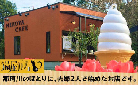 【全12回定期便】魅惑のスペシャルティ コーヒー 4種セット【粉】1kg＜自家焙煎珈琲 猫屋カフェ＞那珂川市 コーヒー[GAG018] 