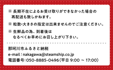 【2月以降順次発送】先行予約！福岡県産あまおう いちご 約270g×4パック 那珂川市 いちご 苺 イチゴ あまおう 果物 フルーツ ストロベリー   [GBR001]13000 13000円