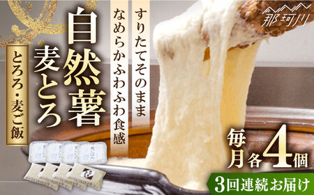 【全3回定期便】自然薯麦とろセット（4人前）＜自然薯王国＞那珂川市 自然薯とろろ[GAH009]