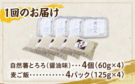 【全3回定期便】自然薯麦とろセット（4人前）＜自然薯王国＞那珂川市 自然薯とろろ[GAH009]