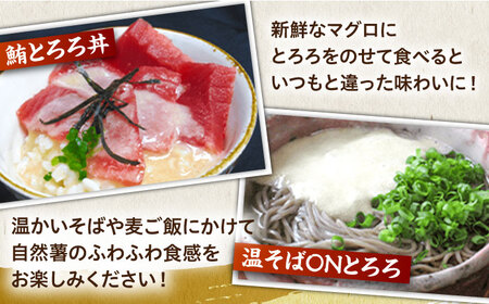 【全6回定期便】自然薯麦とろセット（4人前）＜自然薯王国＞那珂川市 自然薯とろろ [GAH010]