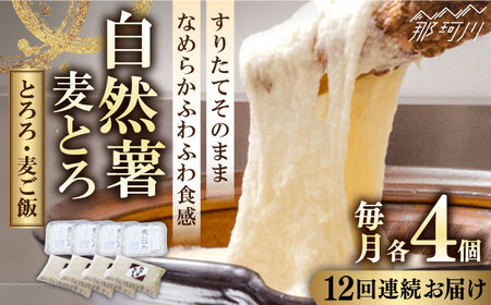 【全12回定期便】自然薯麦とろセット（4人前）＜自然薯王国＞那珂川市 自然薯とろろ[GAH011]