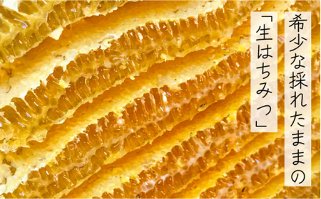 生はちみつ(百花蜜) 180g × 1個 はちみつ GDH001