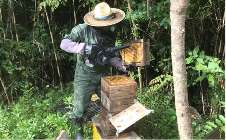 生はちみつ(百花蜜) 180g × 1個 はちみつ GDH001