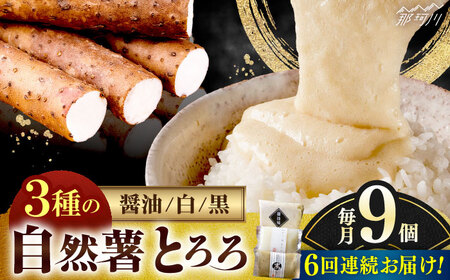 【全6回定期便】自然薯とろろ味くらべセット計9個（3種類×3個）＜自然薯王国＞那珂川市 自然薯とろろ [GAH013]