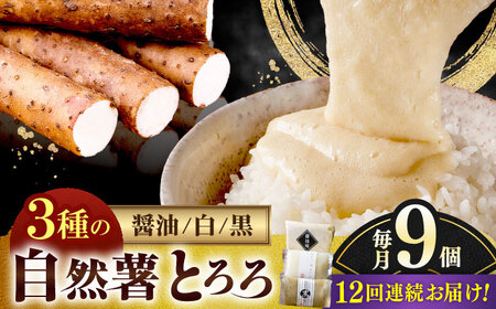 【全12回定期便】自然薯とろろ味くらべセット計9個（3種類×3個）＜自然薯王国＞那珂川市 自然薯とろろ [GAH014]