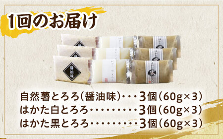 【全12回定期便】自然薯とろろ味くらべセット計9個（3種類×3個）＜自然薯王国＞那珂川市 自然薯とろろ [GAH014]