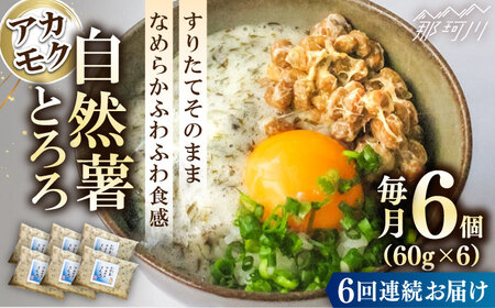 【全6回定期便】【磯の風味が香るふわふわとろろ】那珂川産自然薯使用　博多自然薯アカモクとろろ 60g×6個＜自然薯王国＞那珂川市 自然薯とろろ [GAH019]