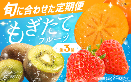 【全3回定期便】九州・福岡もぎたて フルーツ定期便B [GBX022] フルーツ