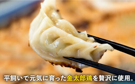 【全6回定期便】金太郎鶏 ぎょうざ（25個×5袋セット）＜有限会社 フジノ香花園＞那珂川市 冷凍餃子 ギョウザ [GAM015]