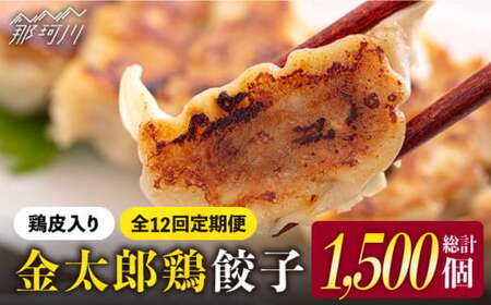 【全12回定期便】金太郎鶏 ぎょうざ（25個×5袋セット）＜有限会社 フジノ香花園＞那珂川市 冷凍餃子 [GAM016]
