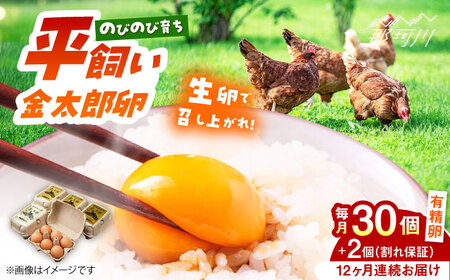 【全12回定期便】鮮度AA級！金太郎卵 平飼い卵 30個＜有限会社 フジノ香花園＞那珂川市 平飼い卵 卵  卵  卵 卵 卵 [GAM019] 九州 九州産