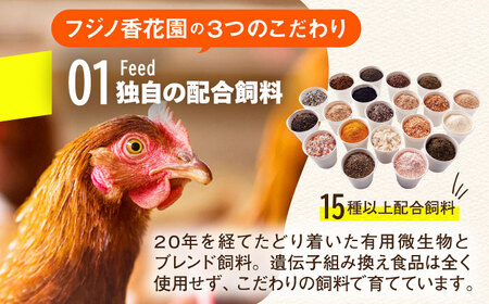 【全12回定期便】鮮度AA級！金太郎卵 平飼い卵 30個＜有限会社 フジノ香花園＞那珂川市 平飼い卵 卵  卵  卵 卵 卵 [GAM019] 九州 九州産