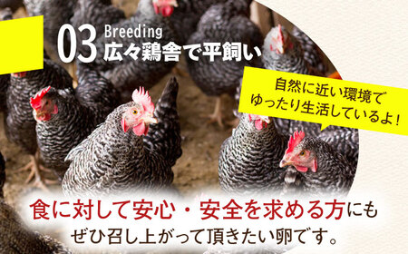 【全12回定期便】鮮度AA級！金太郎卵 平飼い卵 30個＜有限会社 フジノ香花園＞那珂川市 平飼い卵 卵  卵  卵 卵 卵 [GAM019] 九州 九州産