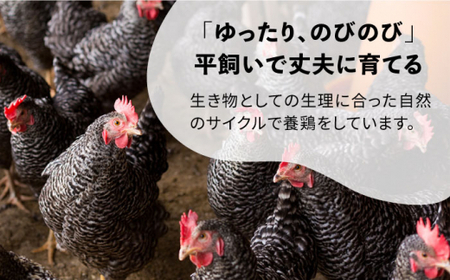 【全3回定期便】金太郎鶏 ミンチ 1kg（200g×5パック）＜有限会社 フジノ香花園＞那珂川市 ミン [GAM028]