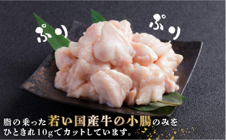 【年内発送】もつ鍋 しょうゆ味 4人前 GDQ003 もつ鍋